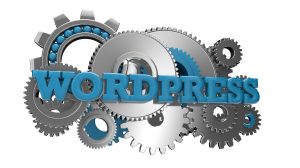 WordPress-Developer-in-Massachusetts